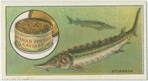 Do you know what caviar is?