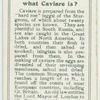 Do you know what caviar is?