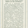 Do you know which is the most intelligent of the animals?