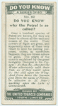 Do you know why the petrel is so called?