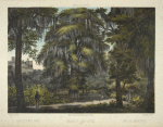Bosque de Chapultepec, 1869 = Parc de Chapultepec = Chapultepec park.