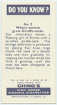 Do you know where women grow giraffe-necks?