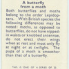 Do you know a butterfly from a moth?