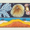 Do you know how coral is formed?