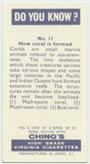 Do you know how coral is formed?