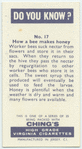 Do you know how a bee makes honey?