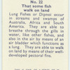 Do you know that some fish walk on land?