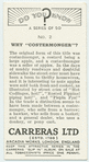 Do you know why "Costermonger"?