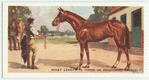 Do you know what length is hand in measuring horses?