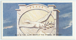 Do you know why is the olive branch a symbol of peace?