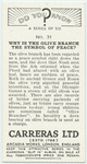 Do you know why is the olive branch a symbol of peace?