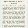Do you know what is the Plimsoll Mark?