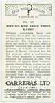 Do you know why do men raise their hats?