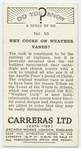 Do you know why cocks on weather vanes?