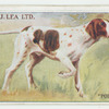 Pointer.