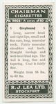 Greyhound