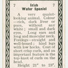 Irish water spaniel.