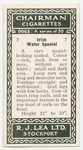 Irish water spaniel.
