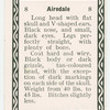 Airedale.