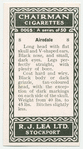 Airedale.
