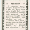 Pomeranian.