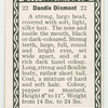 Dandie dinmont.