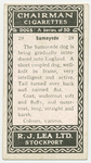 Samoyede.