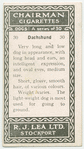 Dachshund.