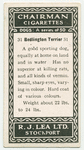 Bedington terrier.