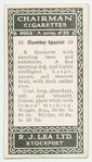 Clumber spaniel.