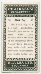 Black pug.