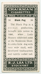 Black pug.