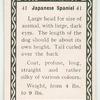 Japanese spaniel.