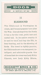 Elkhound.