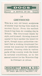 Greyhound.