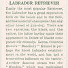 Labrador Retriever.