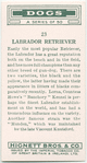 Labrador Retriever.
