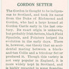 Gordon Setter.