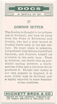Gordon Setter.