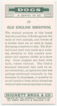 Old English Sheepdog.