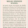 Welsh Springer Spaniel.