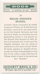 Welsh Springer Spaniel.