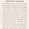 Airedale Terrier.