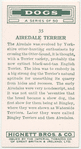 Airedale Terrier.