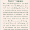 Cairn Terrier.