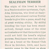 Sealyham Terrier.