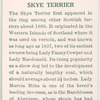 Skye Terrier.