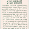 West Highland White Terrier.