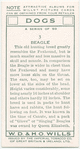 Beagle.