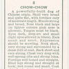 Chow-Chow.